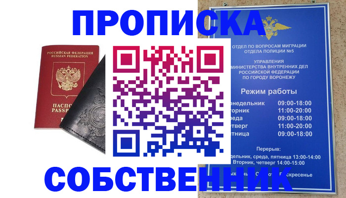временная регистрация поиск в Электрогорске